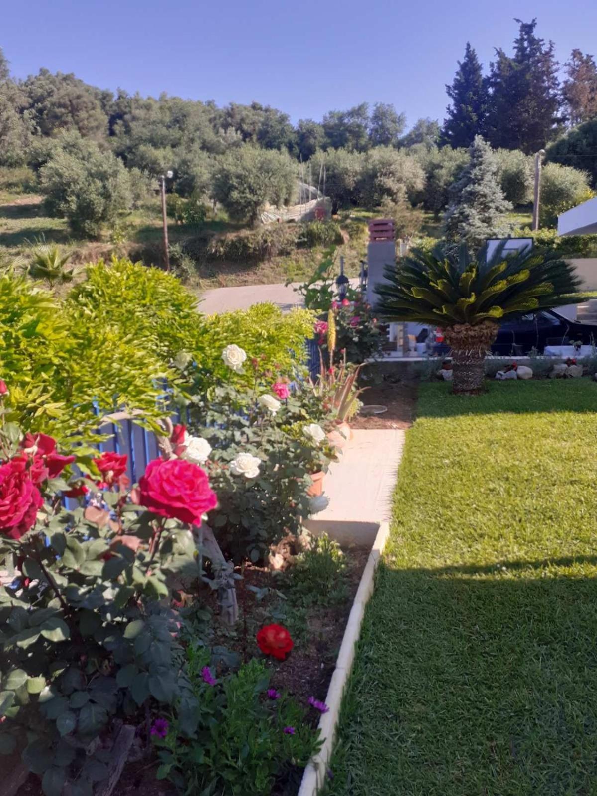 Villa Simos' Sea View House à Nikopolis Extérieur photo